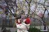 A tourist takes photos of plum flowers at a botanical garden in Hefei, capital of east China's Anhui Province, Feb. 16, 2019. (Xinhua/Zhang Duan)