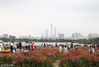 2019年2月16日，广州，海珠湖公园花海盛开，吸引大量市民前往园区赏花拍照。