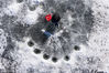 2019年2月20日，北京延庆地区的水面冰冻依然超过了50公分的厚度，附近的人们在冰上凿洞钓鱼，怡然自乐。