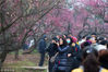 2019年2月23日，游客在南京梅花山赏梅。
