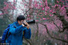 2019年2月23日，游客在南京梅花山拍摄梅花。