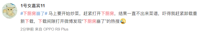 下厨房app崩了