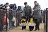 8个月大的小黑熊与饲养员一起在参加动物萌宠巡游。