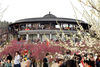 2019年3月17日，安徽淮南，市民在舜耕山风景区梅园内赏花踏春。