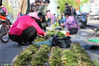 2017年5月7日，辽宁丹东，宽甸县城。买家在山野菜摊位前挑挑拣拣。