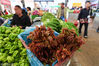 2019年3月7日，昆明菜市场内售卖的香椿。当日，来自云南各地的春季野菜、鲜花在昆明菜市场内集中售卖，吸引民众前来选购尝鲜。视觉中国
