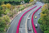 3月21日为世界林业日，又叫做世界森林日，一起来看城市中那些森系小清新，满满绿色能量。
图为2019年2月11日，广州人民北路，白色紫色的紫荆花海与人民路高架桥上鲜红的勒杜鹃相互辉映，将整条道路装点得春意盎然。mophoto/视觉中国