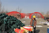 2019年3月19日，北京世园会场馆建设现场。2019年中国北京世界园艺博览会各项筹备工作进展顺利，预计全部展园建设工作将于3月底完成。