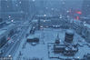 2019年3月21日早，哈尔滨迎来降雪，城市被白雪覆盖。