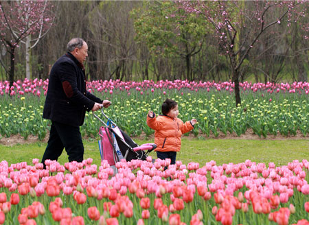 160,000 tulip flowers welcome visitors to Huai’an