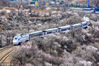 2019年3月22日，北京居庸关附近的山花盛开，S2线列车穿行在花海之中，构成一幅美丽的画面。