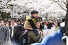 2019年3月23日，南京鸡鸣寺樱花盛开，现场人潮涌动，赏花游客众多。
