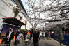 2019年3月23日，南京。一年一度的樱花盛开，而作为南京著名的赏樱圣地南京鸡鸣寺，挤满了前来赏樱的人群，人潮涌动。贾世清/视觉中国 编辑/陈进
 