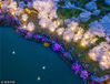 2019年3月23日，前来湖北武汉东湖樱花园赏花的游客剧增。东湖樱花园是华中地区唯一可夜间赏樱的地方了，清朗夜空之下，樱花树伸展着枝条，满树的樱花尽情盛放，游客仿佛置身于一个五彩缤纷的奇幻世界里。