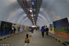 2019年3月9日，福建厦门，厦门大学的芙蓉隧道位于厦大内部芙蓉餐厅旁 ，是厦门大学主要景点之一，全长1.1公里，净宽8米，净高4.5米。