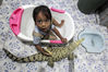 2019年4月12日报道（具体拍摄时间不详），来自印尼万丹省坦格朗市的3岁小姑娘Dilan Maharani有着一个非常与众不同的玩伴——一只鳄鱼， 小Rani常和这头鳄鱼宠物一起共浴、玩耍甚至睡觉。Rani拖着鳄鱼的尾巴在家里玩耍，在卫生间里和它一起洗澡，心中毫不畏惧。这头8月大的湾鳄名叫Ndut，才15厘米长的时候就被Rani的父母给买了回来，如今已经长到了约1.2米长，体重达到了可怕的25.4公斤，比Rani都重。 Rani的父母表示女儿和她的鳄鱼小伙伴相处得很自然，他们希望女儿将来能成为一名动物饲养员。除了鳄鱼，Rani还有蟒蛇、蝎子、鹦鹉等玩伴。