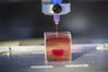当地时间2019年4月15日，以色列特拉维夫，特拉维夫大学科学家用人体组织，利用3D打印技术制造出一个人类心脏，科学家称之为“首次”和“重大医学突破”，提高了移植的可能性。