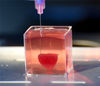 当地时间2019年4月15日，以色列特拉维夫，特拉维夫大学科学家用人体组织，利用3D打印技术制造出一个人类心脏，科学家称之为“首次”和“重大医学突破”，提高了移植的可能性。