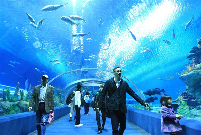 珠海迈向全域旅游3.0版本 旅游收入增速领跑珠三角