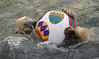 当地时间2014年4月3日，德国汉诺威，动物园中的北极熊正在玩一只复活节彩蛋水球。