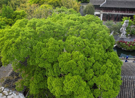 Famous classical gardens of Suzhou, E China