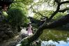 A woman poses for photos at the Retreat & Reflection Garden in Suzhou, east China's Jiangsu Province, April 19, 2019. Suzhou is home to dozens of famous classical gardens that have inventive and exquisite design and oriental aesthetics. Nowadays more than 60 of them are still in existence, among which the Humble Administrator's Garden, Lingering Garden and the Lion Grove Garden are on the UNESCO's World Heritage List. (Xinhua/Li Xiang)