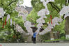 2019年4月25日，游客来到杭州吴山风景区城隍阁，参观百年宫廷风筝展。