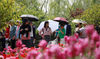 2019年5月11日，入夏以来，江苏扬州瘦西湖风景区绿树成荫，景色宜人，整个瘦西湖被绿色植物所包围，在蓝天白云的映衬下绿意盎然，美景如画，吸引众多游客前来游玩。