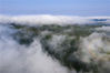 日出前，在蜂蜜山到兴凯湖之间形成云海，日出后云雾越过蜂蜜山主峰一山脊向北形成云瀑奇观，一直持续到早晨八点，这个季节出现云海和云瀑奇观极为少见。
