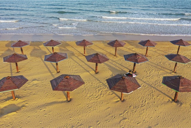  青岛：夏日海滨“木伞花”开 朵朵绽放海滩浪花间