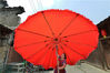 2019年5月23日，成都，双流区彭镇街道修伞手艺人杨敏在晾晒为顾客修好的伞。