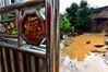 2019年6月12日，广西桂林全州县龙水镇全佳村委井门前自然村，一村民家的两只鸭子。