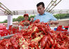 2019年6月13日，第十九届中国·盱眙国际龙虾节在江苏淮安开幕。龙虾烹饪师在“万人龙虾宴”现场烹饪小龙虾。