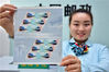 2019年6月15日，河北石家庄，中国邮政集团公司新乐市分公司工作人员展示发行的《中欧班列（义乌—马德里）》特种邮票。
