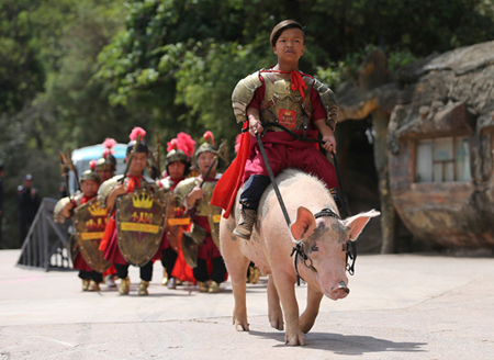 昆明小人国十岁了“小矮人”们蘑菇房里演绎童话生活