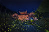 七八月份，正值仲夏，星星点点的流萤，是这仲夏夜“最”唯美的风景。图为2018年4月19日，杭州，农业学大寨的古廊桥。陈伟/视觉中国
