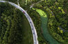 2018年8月28日，江苏省淮安市古淮河畔，车辆在茂密的树林公路中穿行（无人机拍摄）。淮安市古淮河穿城而过，两岸边茂密、翠绿的树林成为城市的生态氧吧。