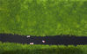 2019年7月13日，雨过天晴，沈阳荷花进入了最佳观赏期，航拍位于沈阳东陵公园南的百亩荷花池，湖面上波光粼粼，游船徜徉荷花丛。