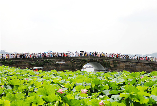 杭州迎来暑期旅游高峰 西湖景区游人如织断桥成“人桥”