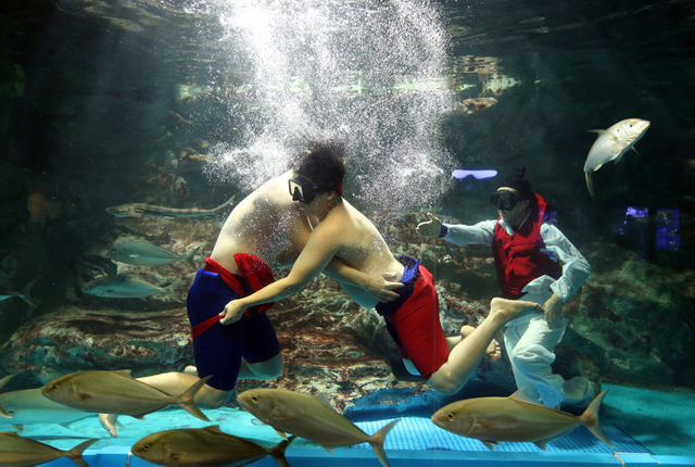画画摔跤打麻将 达人们解锁水下各种“姿势”