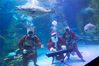 当地时间2018年12月18日，韩国首尔，当地水族馆举行“圣诞节特别水下表演”，装扮成圣诞老人、小鹿和美人鱼的潜水员们在鱼缸中表演乐器演奏。Yonhap News Agency/视觉中国
