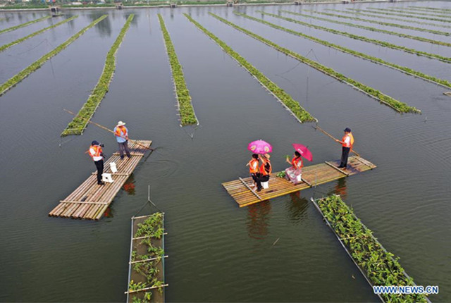 Tuanzhuang Village in China's Jiangsu utilizes aquatic environment for local tourism