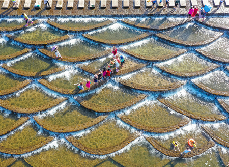 杭州富阳龙鳞坝悄然走红，每天超万人前往消暑打卡！