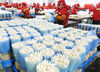 Workers package Enoki mushroom in a company’s farm in the high-tech zone in Donghai County, Lianyungang City, Jiangsu Province, August 13, 2019. The zone has boosted efforts to support edible mushrooms industry by introducing a complete set of automated production equipment, improving the standardized farming and commercialization, and applying world-class technologies in bioengineering breeding and intelligent control.    