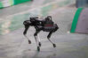 2019年8月22日，2019世界机器人大会在北京亦创国际会展中心开幕。同时,大会备受瞩目的世界机器人博览会开展，21个行业应用的700余件（套）展品同台亮相。