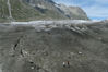 当地时间2019年8月21、22日，瑞士贝特默阿尔卑，阿莱奇冰川正在消融。