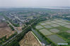 Aerial photo taken on Aug. 23, 2019 shows a view of a village in Zhouzhuang Township of Kunshan City in east China's Jiangsu Province. Rural revitalization strategy has been implemented in Kunshan city in recent years to achieve the basic modernization of agriculture and rural areas. (Xinhua/Ji Chunpeng) 