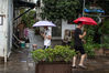 2019年8月24日，浙江绍兴由于受到台风“白鹿”影响，下午时分迎来一场大雷阵雨。雨中的行人。陈家蓬/视觉中国 编辑/陈进
