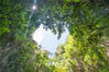 2018年8月3日，泰国普吉岛，攀牙湾的一座小海岛中心上空的森林，把天空围成一个心形，让人不由得感叹大自然的鬼斧神工。李澎/视觉中国 编辑/康娜