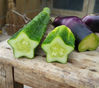 Two star-shaped cucumbers grown by Jiangsu-based company Fruit Mould. [Photo/VCG]